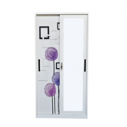 2 Sliding Door Printing Wardrobe